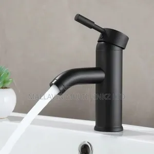 Short Black Basin Faucet