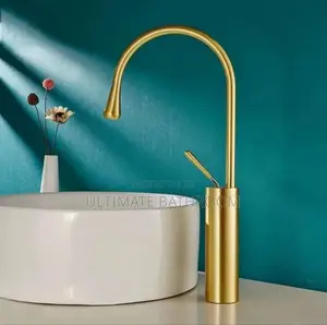 Gold Basin/Kitchen Faucet