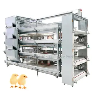 Full Automated 160 Layer Cage Masters,Point of Lay,Feeders