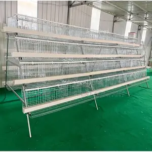 160 Birds Imported Layer Cage,Feedmill,Pelletizer,Drinkers