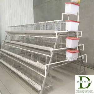 160 Capacity Layers Cage, Point Of Lay, Chicken Cutter