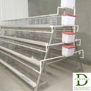 96 Capacity Layers Cage, Automatic Drinkers, Broiler