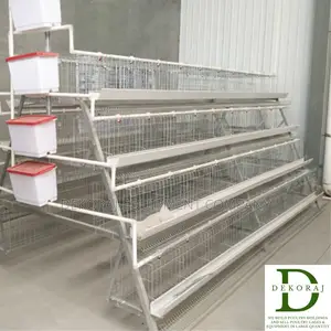 160 Capacity Layers Cage, Chicken Drinker, Feedmill