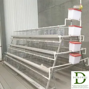 128 Capacity Layers Cage, Chick Feeder, Ear Tags