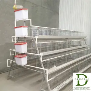 96 Capacity Layers Cage, Automatic Bell Drinkers, Plucker