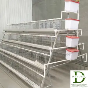160 Capacity Layers Cage, Gas Brooder, Manure Dryer
