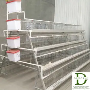 128 Capacity Layers Cage, Chicken Feeder, Day Old Pullet