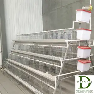 160 Capacity Layers Cage, Bell Drinker, Gas Brooder