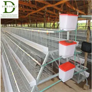 160 Capacity Layers Cage, Bell Drinker, Chicken Cutter