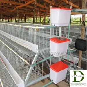 96 Capacity Layers Cage, Day Old Chicks, Chicken Plucker