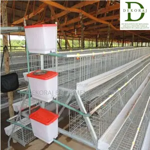 160 Capacity Layers Cage, Automatic Drinkers, Day Old Pullet