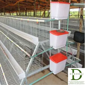 160 Capacity Layers Cage, Chicken Feeder, Day Old Chicks