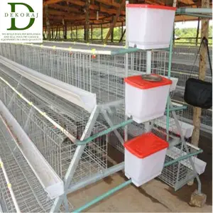 96 Capacity Layers Cage, Chick Feeder, Chicken Cutter