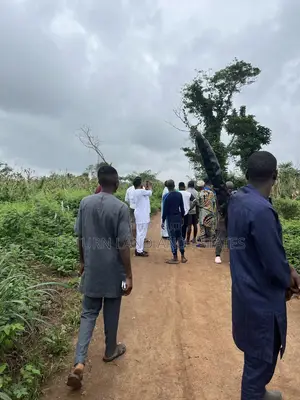 1000 Acres of Land for Sale at Lafuwape Comes With R.Survey