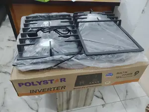 Strong Quality Polystar 3 and 1 Hot Plate Cooker Pv-Gt6