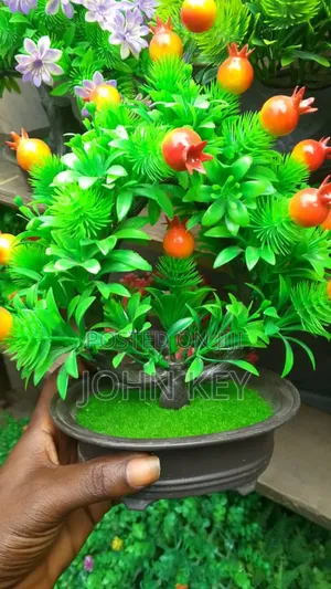 Mini Flowers Pot