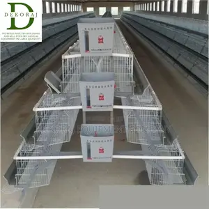 96 Capacity Layers Cage, Chicken Drinker, Nipple Drinkers