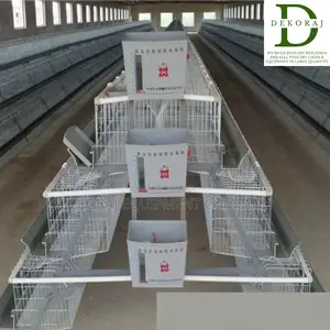 160 Capacity Layers Cage, Chicken Drinker, Chicken Plucker