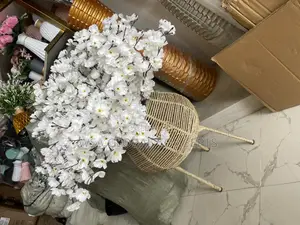 Basket Design Beautiful Flower and Pots
