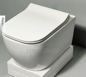 Wall-Hung Water Closet