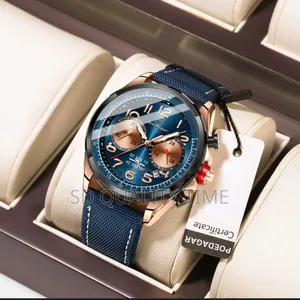 Poedagar Leather Waterproof Watch