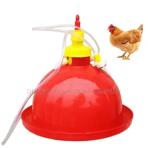 Bell Drinker and Feeder Nation ,Poultry Cage Masters