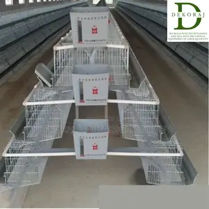 160 Capacity Layers Cage, Chick Feeder, Chicken Cutter