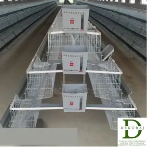 96 Capacity Layers Cage, Day Old Chicks, Chicken Feeder