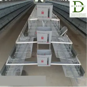 120 Capacity Layers Cage, Chick Feeder, Broiler Feeder