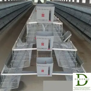 96 Capacity Layers Cage, Automatic Drinkers, Chicken Feeder