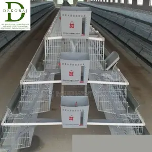 96 Capacity Layers Cage, Chick Feeder, Chicken Plucker