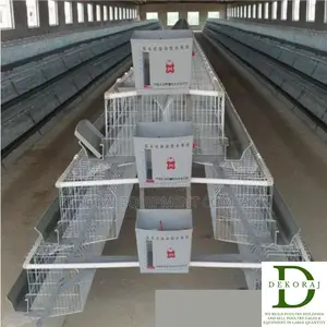 120 Capacity Layers Cage, Chicken Feeder, Chick Feeder