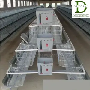 96 Capacity Layers Cage, Chicken Cutter, Automatic Drinkers
