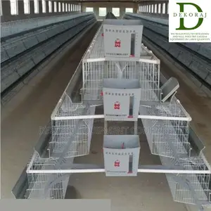 120 Capacity Layers Cage, Nipple Drinkers, Chicken Cutter