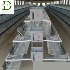 96 Capacity Layers Cage, Chick Feeder, Chicken Cutter