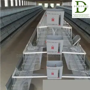 96 Capacity Layers Cage, Chicken Drinker, Feedmill