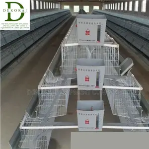 128 Capacity Layers Cage, Chicken Feeder, Automatic Drinkers