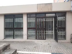 Collapsible Door