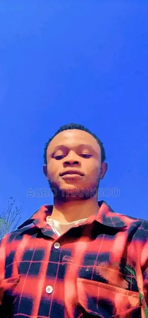 Dispatch Rider