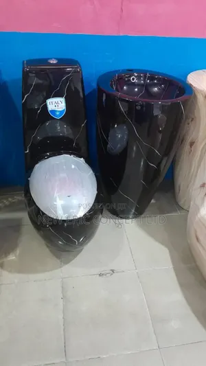 Black Executive Marble WC