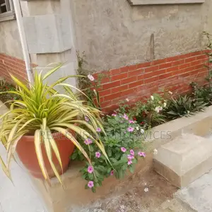 Gardening and Horticultural Services for Homes, Offices, Etc