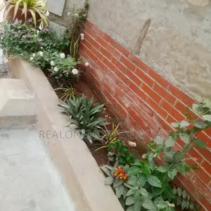 Gardening and Horticultural Services for Homes, Offices, Etc