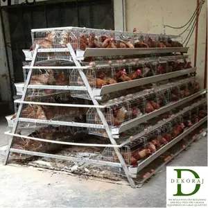 96 Capacity Poultry Cage, Bell Drinker, Point Of Lay