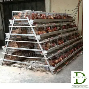 160 Capacity Poultry Cage, Feeders, Debeaker