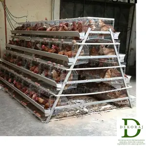 120 Capacity Poultry Cage, Chicken Drinker, Automatic Bell D