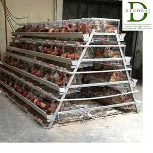 120 Capacity Poultry Cage, Chick Feeder, Chicken Cutter