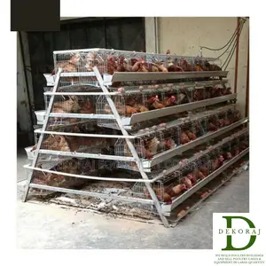 128 Capacity Poultry Cage, Day Old Broiler, Gas Brooder