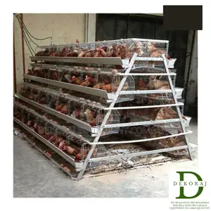 96 Capacity Poultry Cage, Chicken Feeder, Feedmill