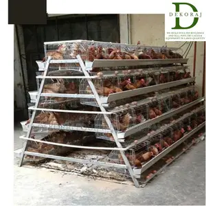 128 Capacity Poultry Cage, Broiler, Drinkers