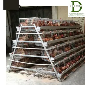 96 Capacity Poultry Cage, Ear Tags, Feeders